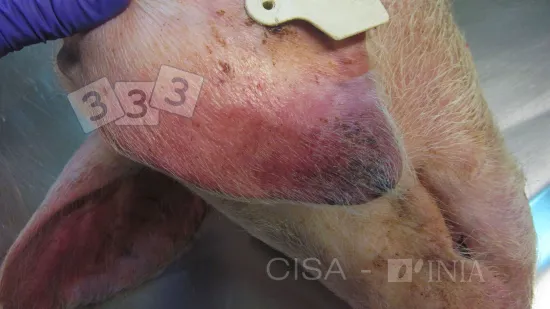 Semaine du 22-Oct-2025