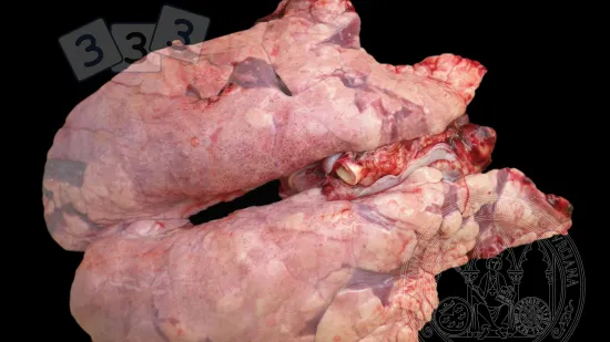 Semaine du 10-Déc-2025