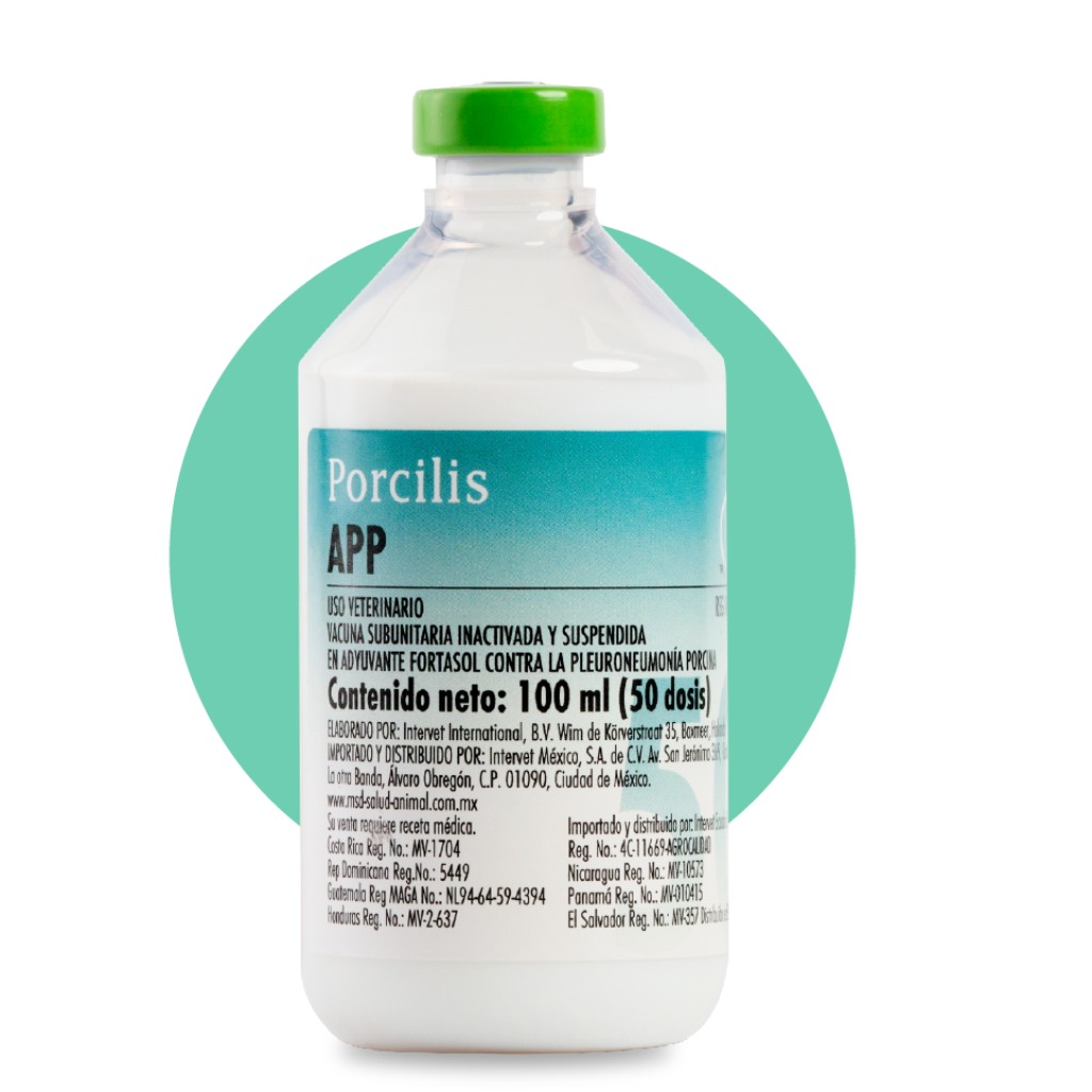 Vacuna: Porcilis® APP