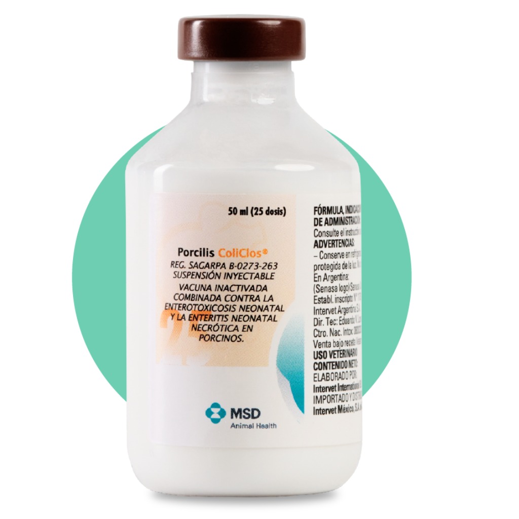 Vacuna: Porcilis® ColiClos