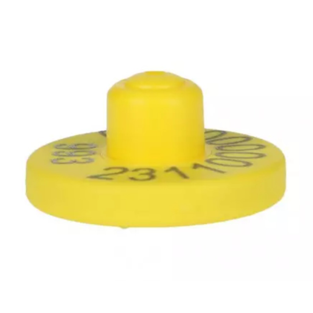 Boucle d'oreille électronique jaune FDX XL