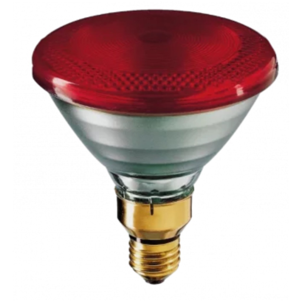 Lampadina a infrarossi Philips PAR 100 Watt 1 unità
