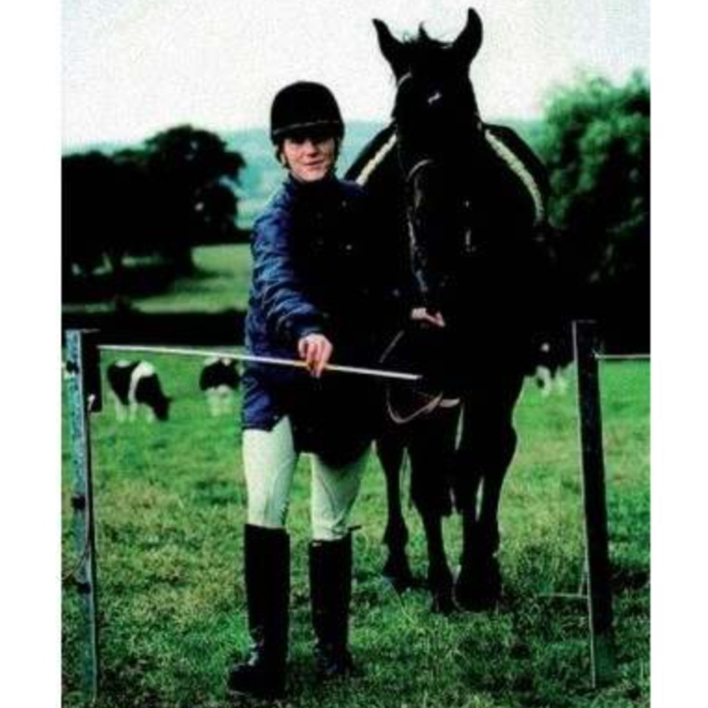 Kit portail électrique pour clôture électrique de 1,20 m