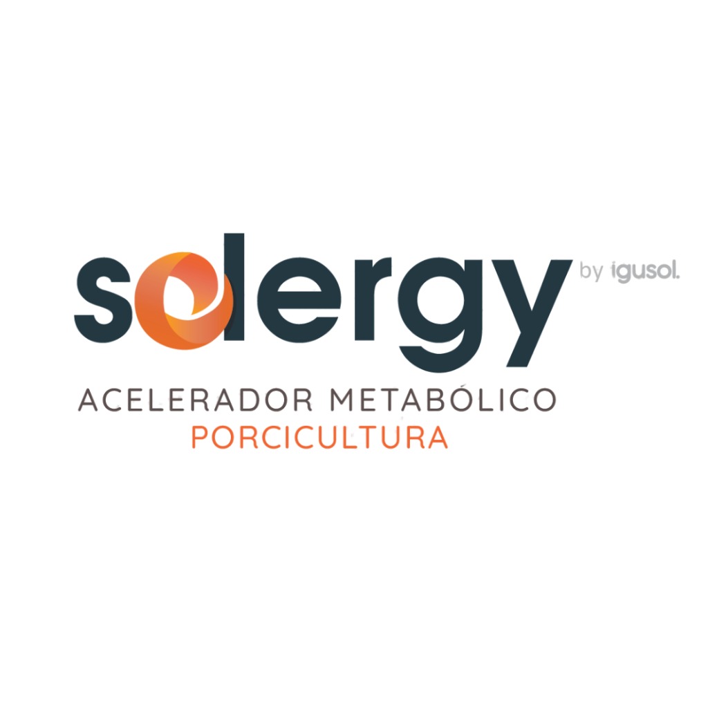 SOLERGY