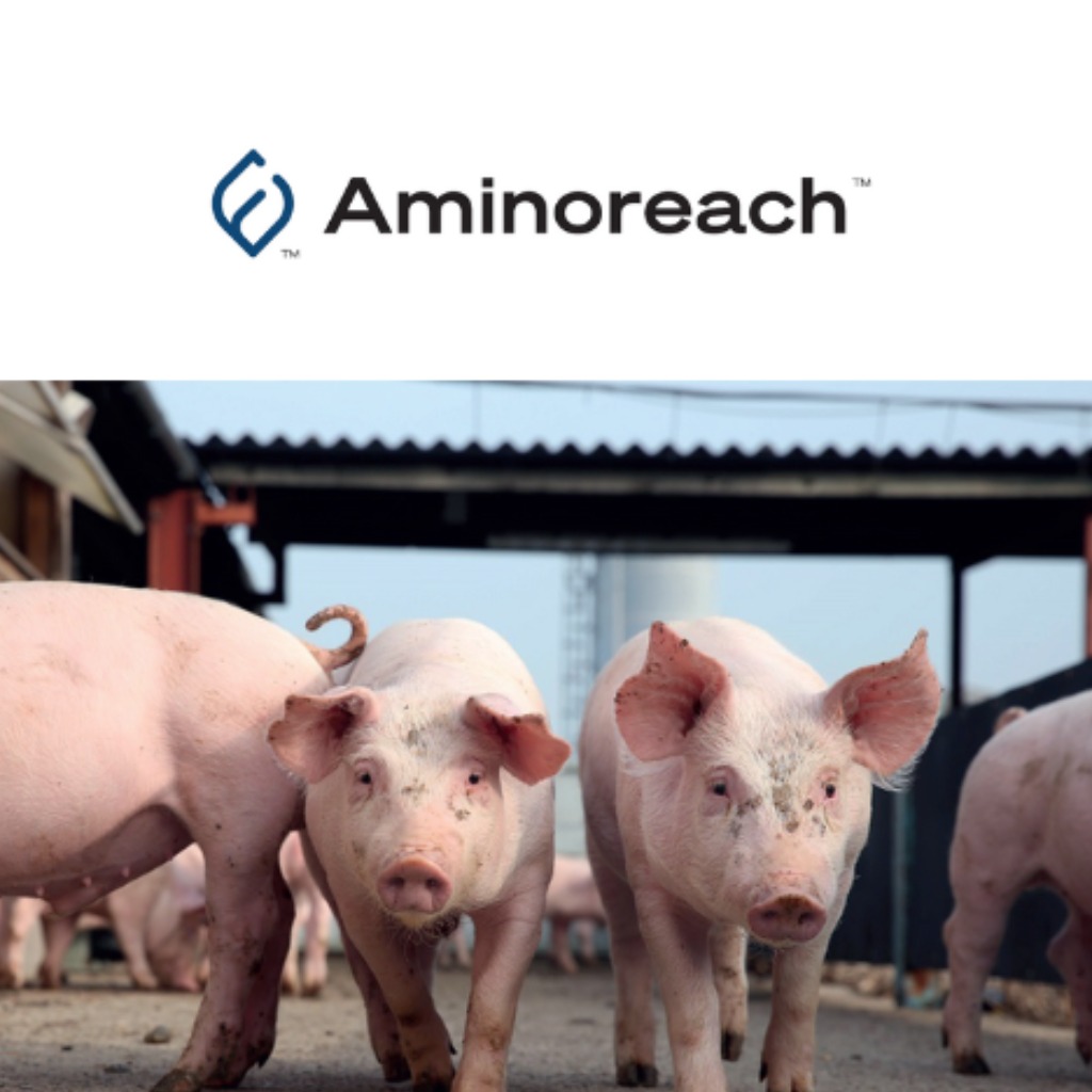 Aminoreach™ Dual