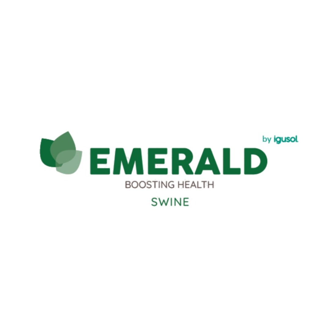 EMERALD