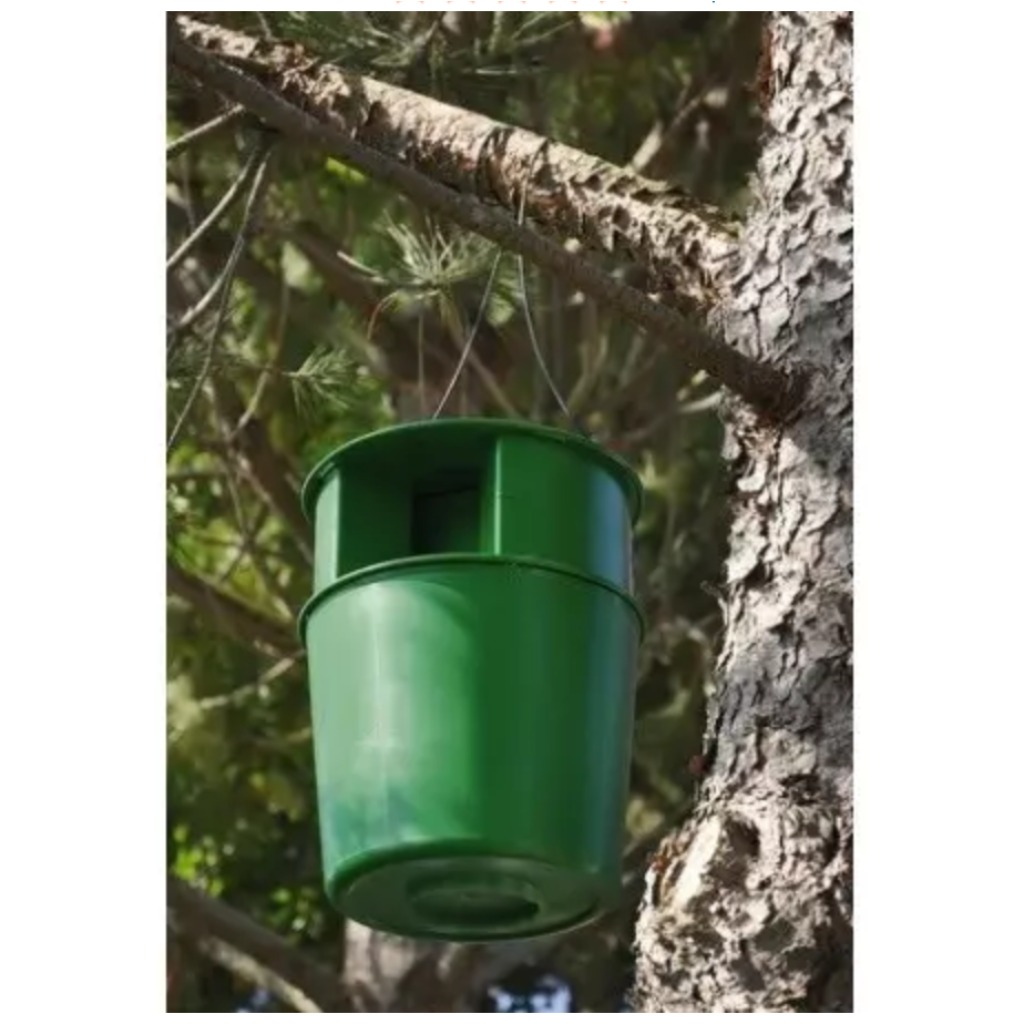 PROCEREX® Pine Processionary Moth Trap Cube