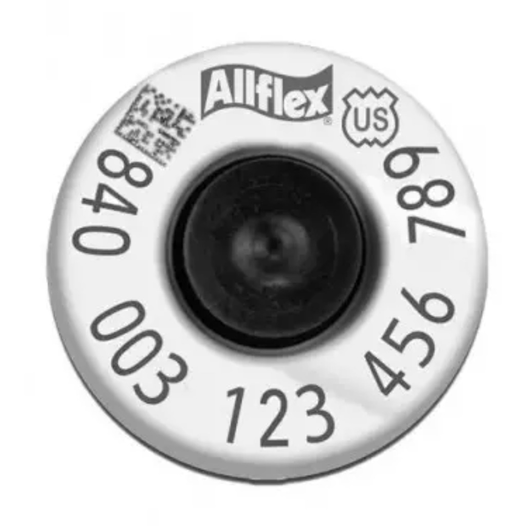 Boucle d'oreille électronique HP HDX avec bouton